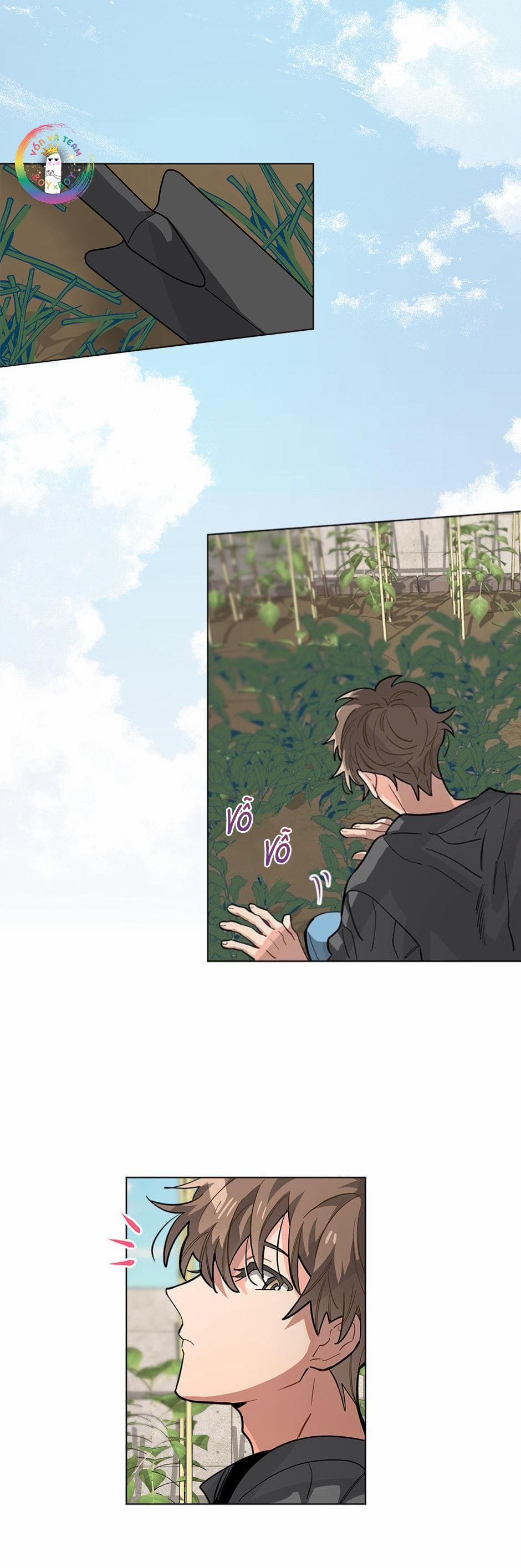 Cơn Mưa Rào 33 trang 14