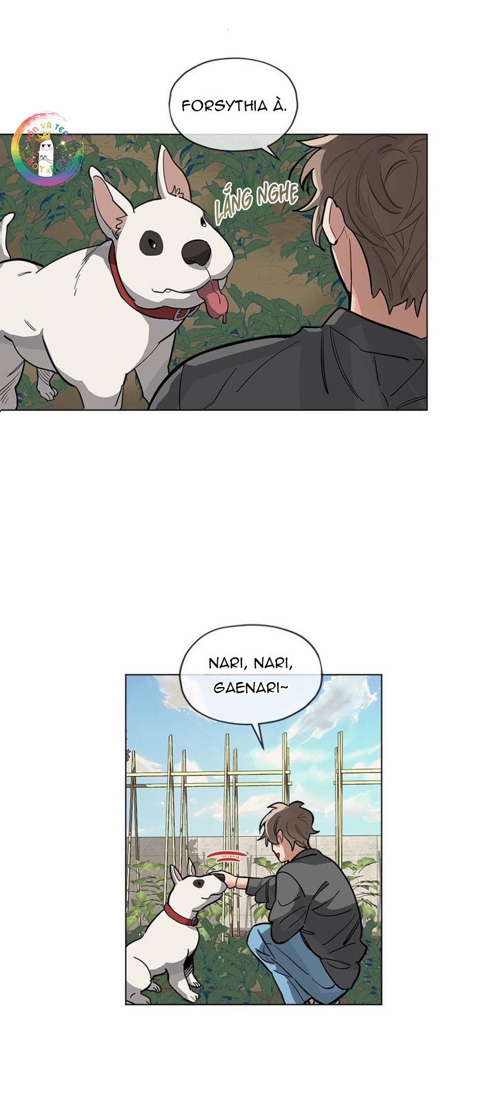 Cơn Mưa Rào 33 trang 15