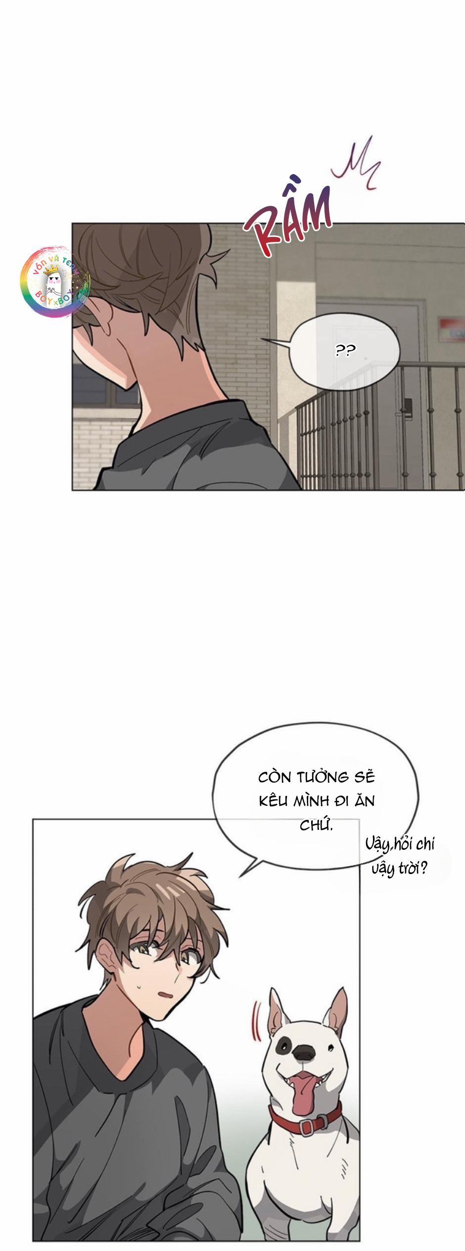 Cơn Mưa Rào 33 trang 21