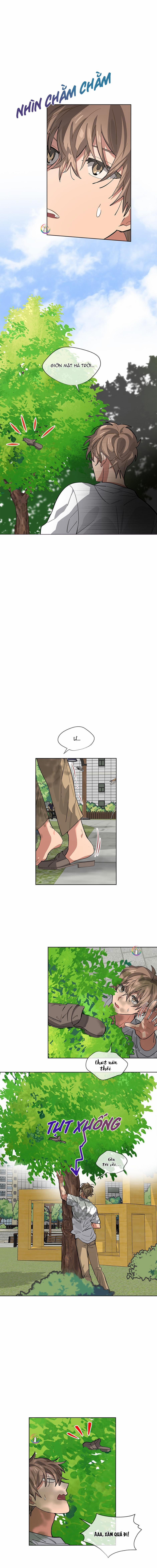 Cơn Mưa Rào 43 trang 8