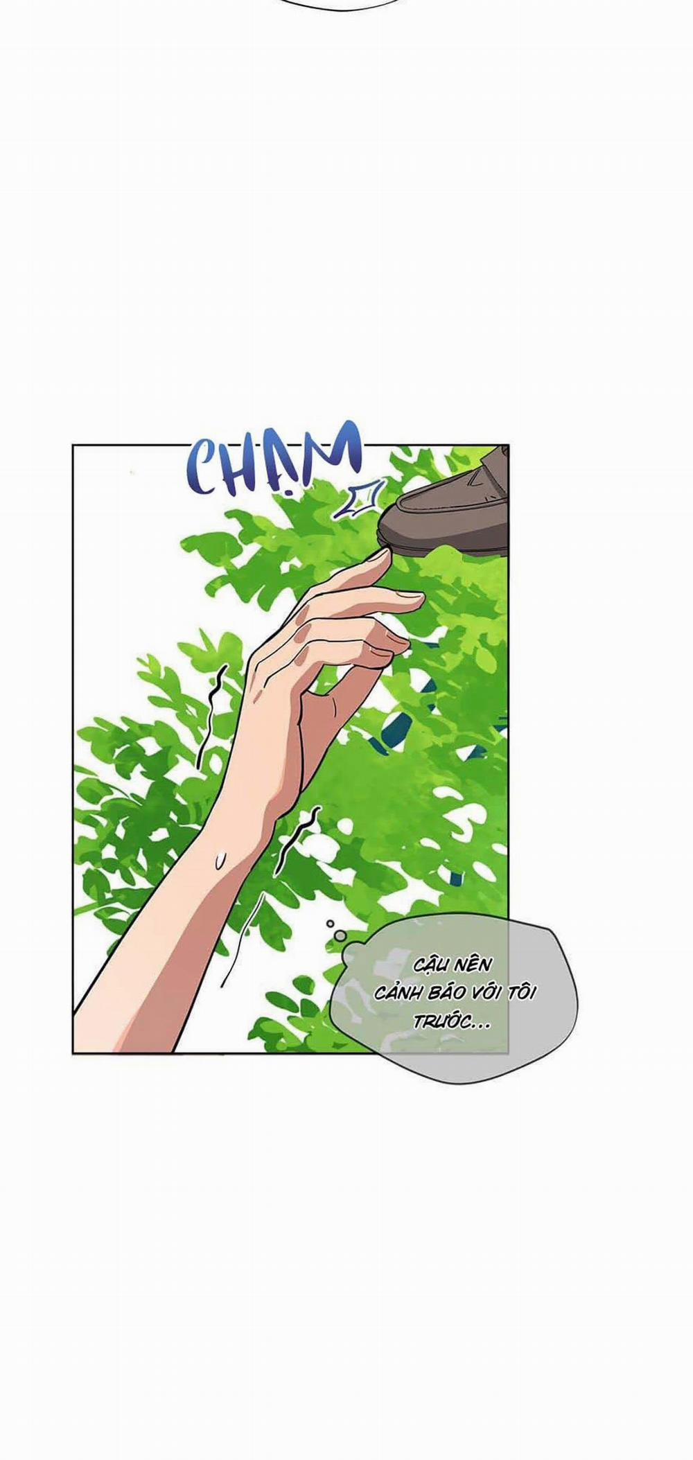 Cơn Mưa Rào 44 trang 4