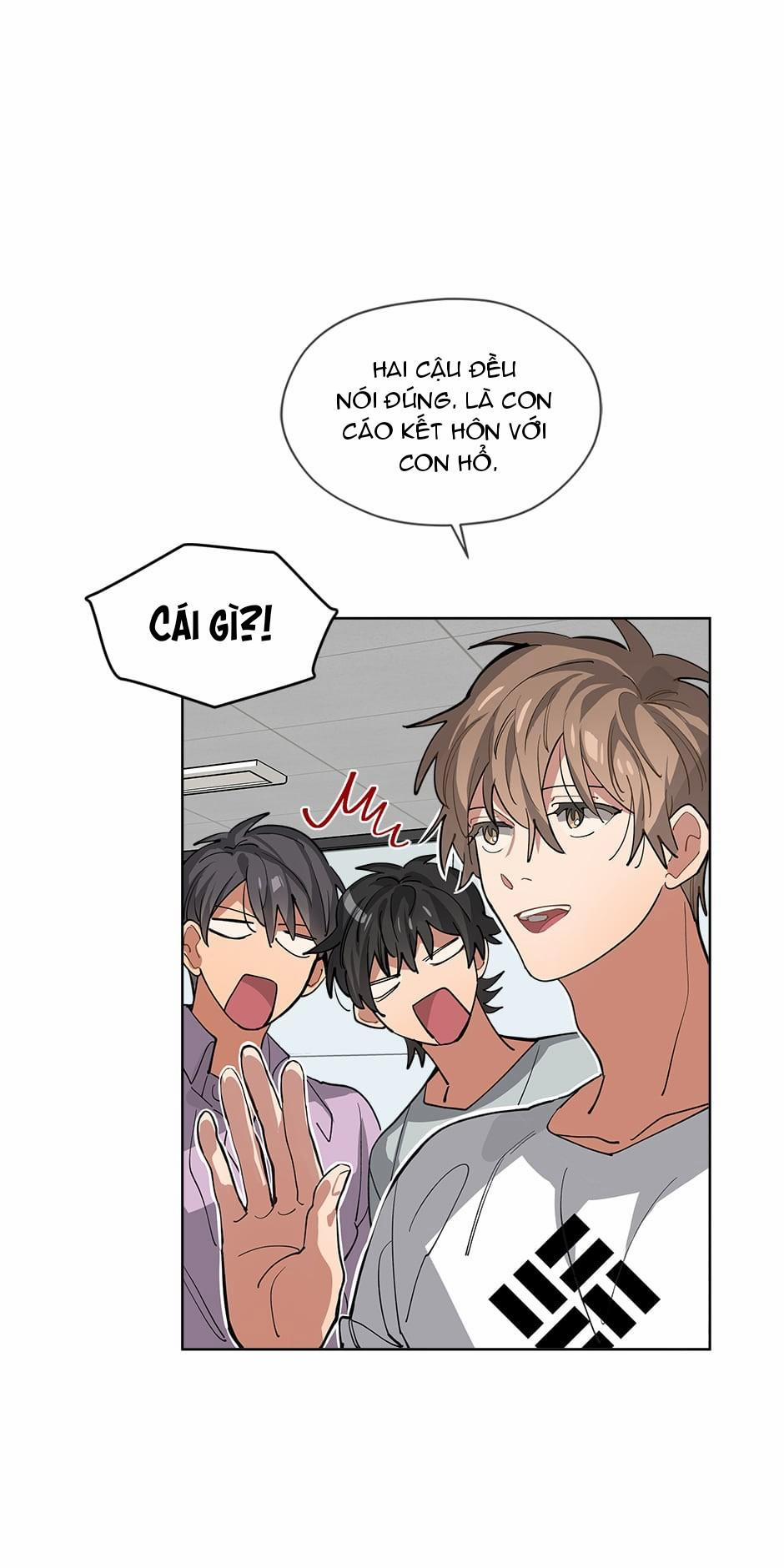 Cơn Mưa Rào 52 trang 42