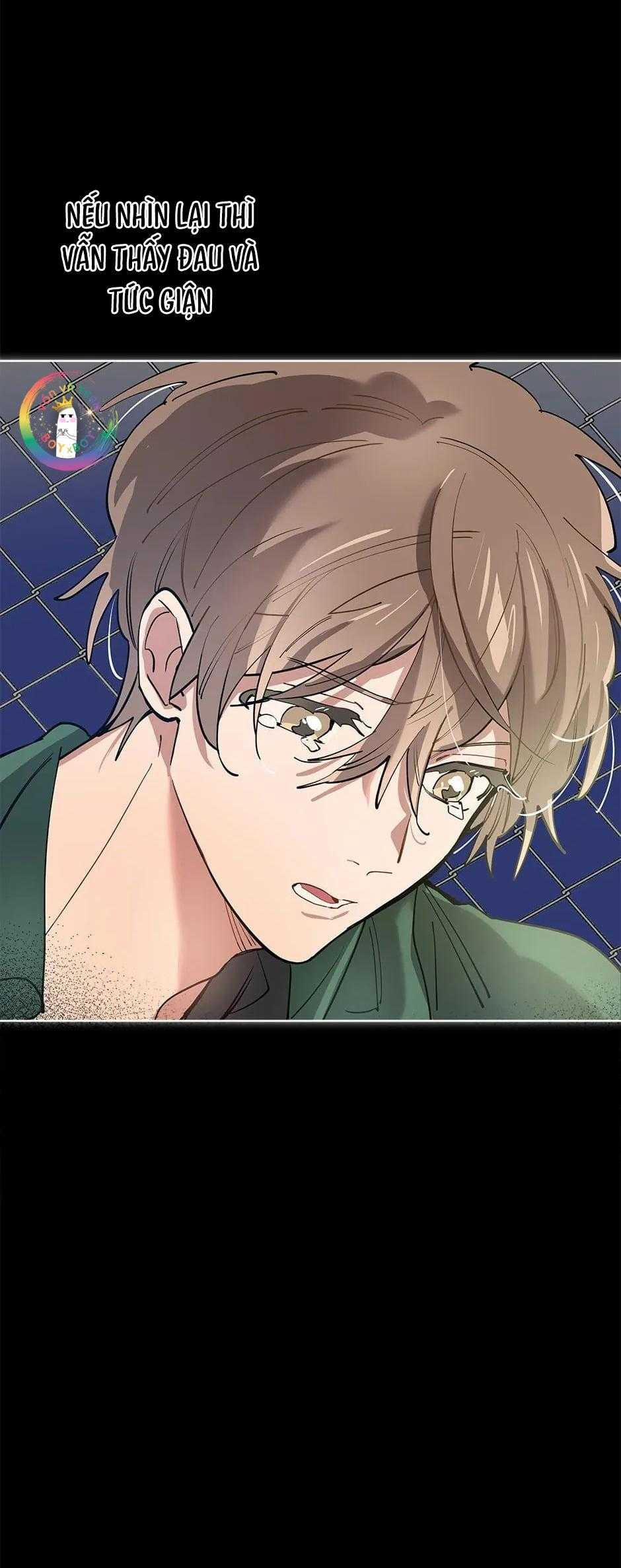 Cơn Mưa Rào 82 trang 43