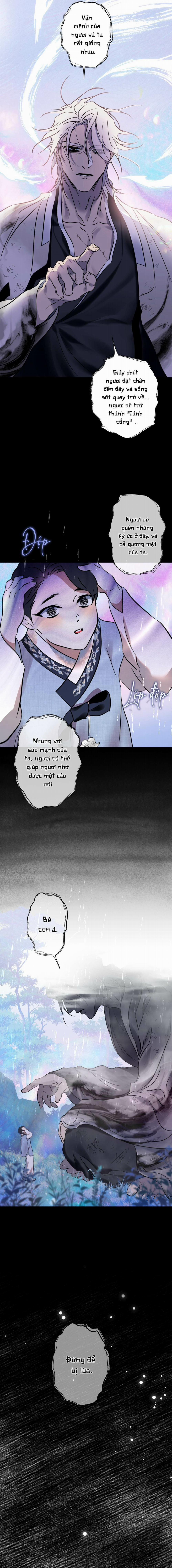 Cơn Mưa Triền Miên 12 trang 9