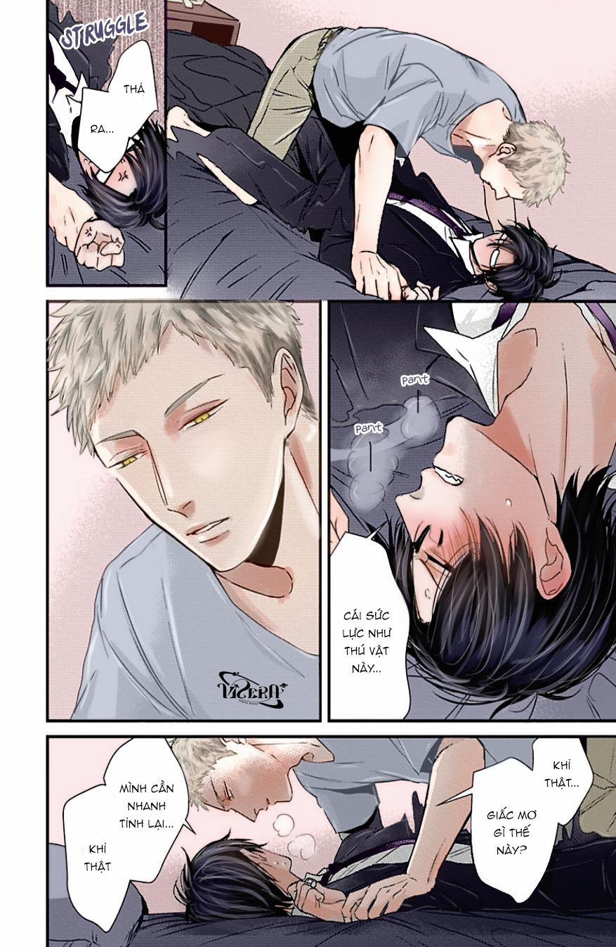 Con Quỷ Tà Dâm Không Cho Tôi Ngủ 12 trang 5