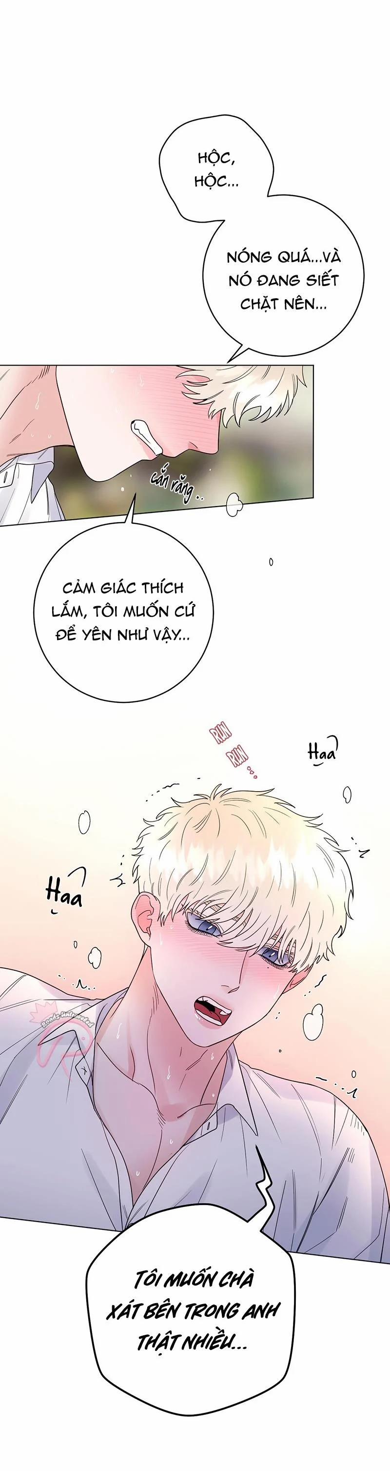 Con Rối Của Ngài Hầu Tước 34 trang 5