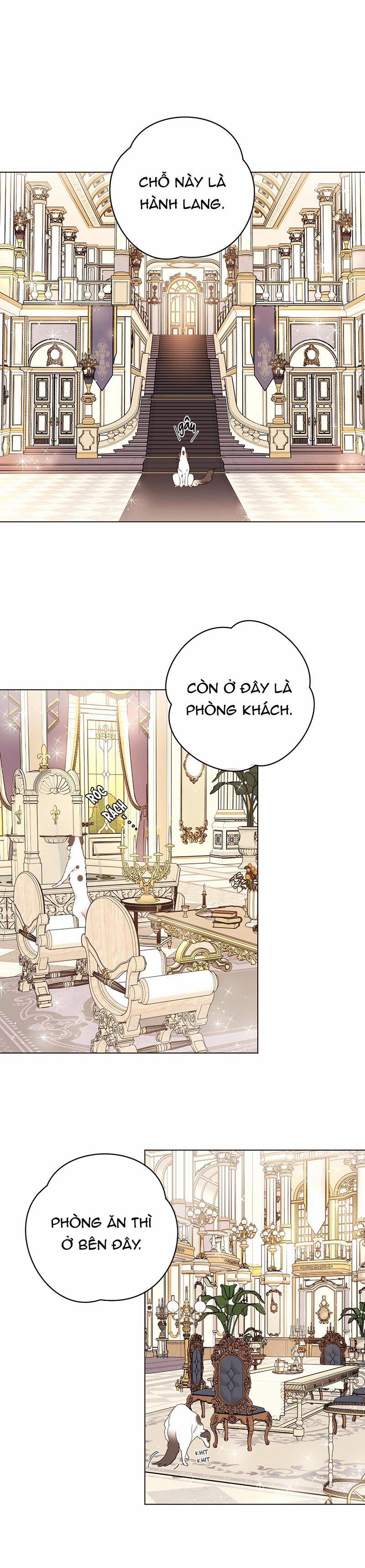 Con Rối Của Ngài Hầu Tước 39 trang 0