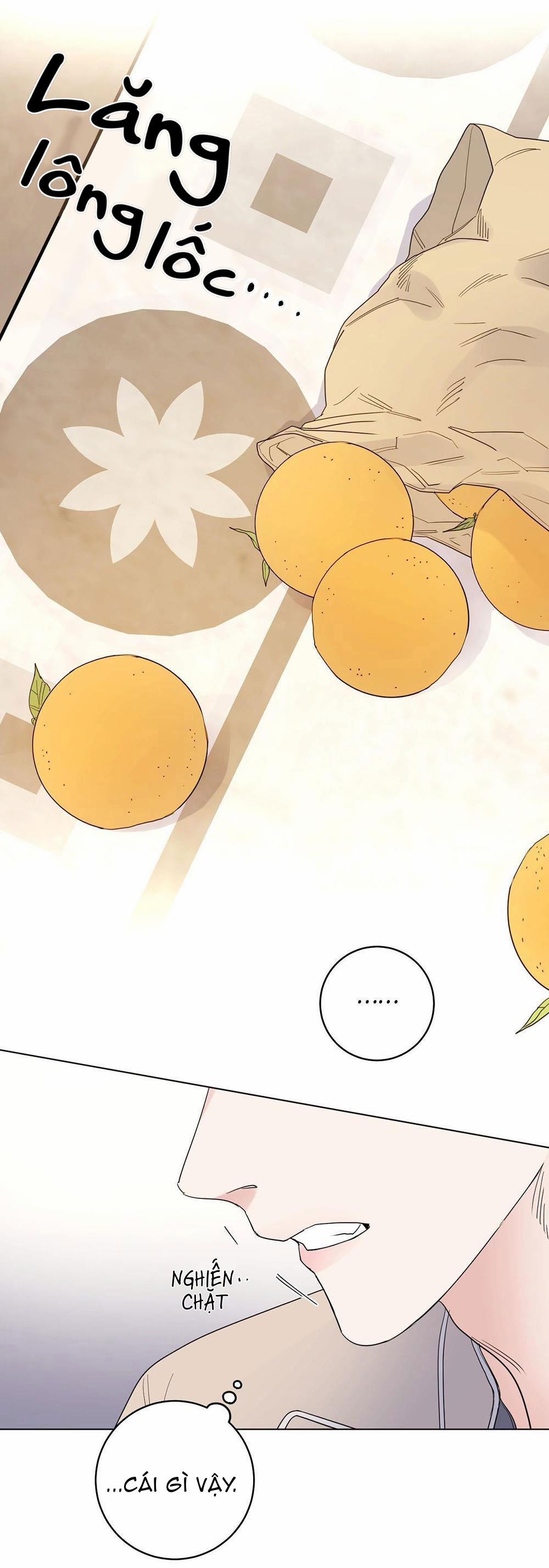 Con Rối Của Ngài Hầu Tước 41.5 trang 9