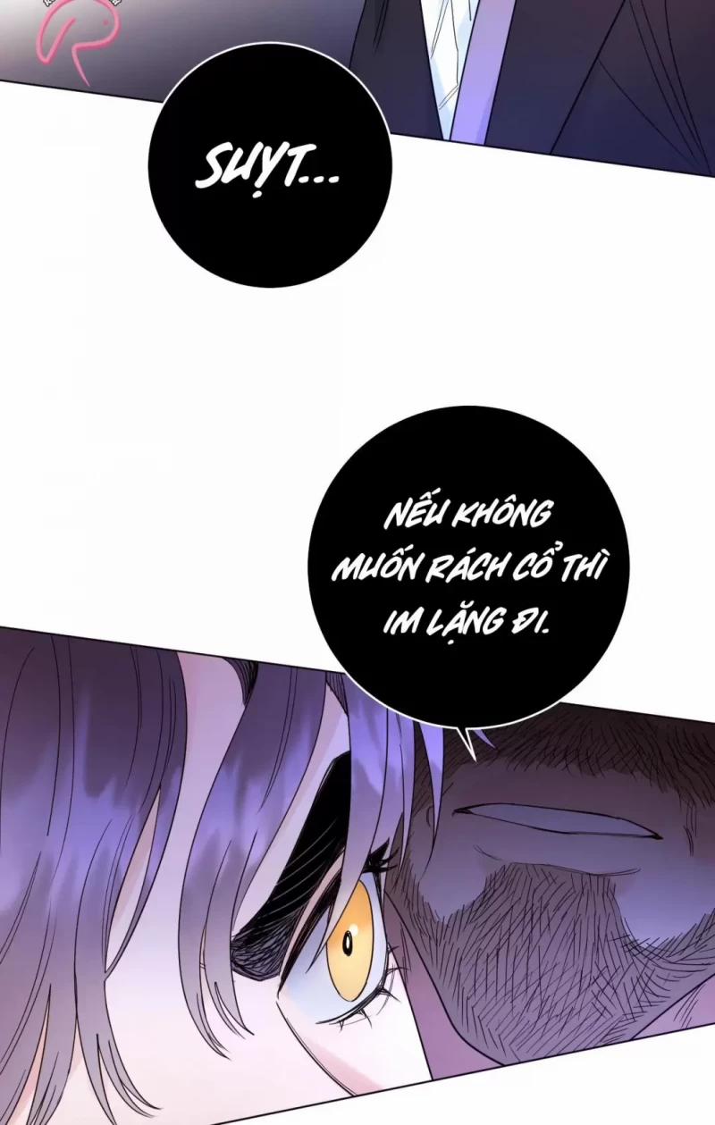 Con Rối Của Ngài Hầu Tước 50 trang 21