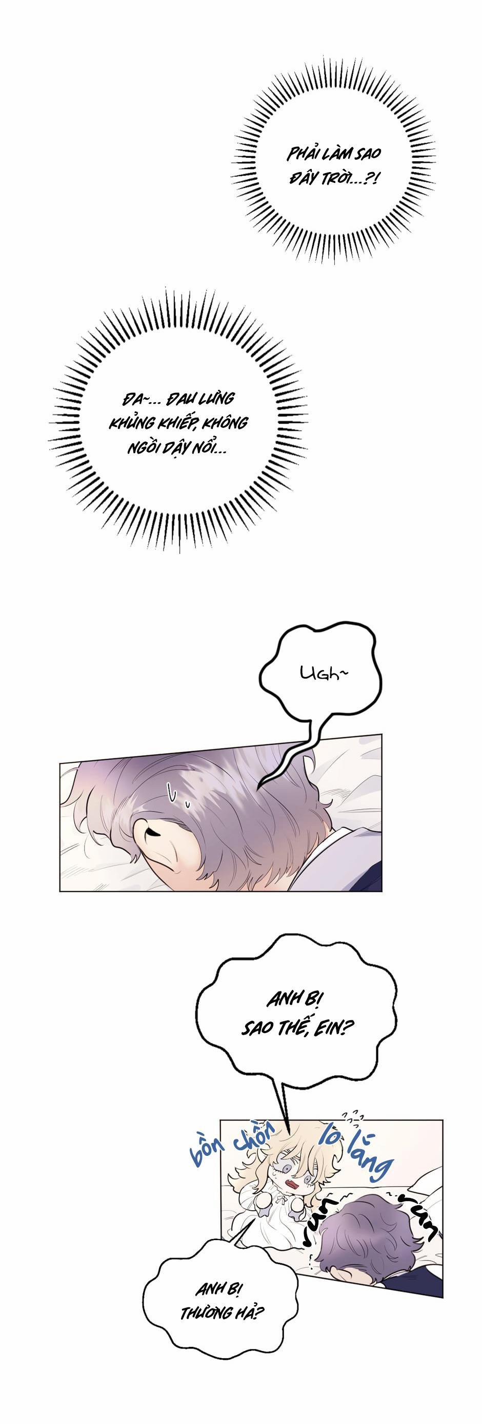 Con Rối Của Ngài Hầu Tước 8 trang 0