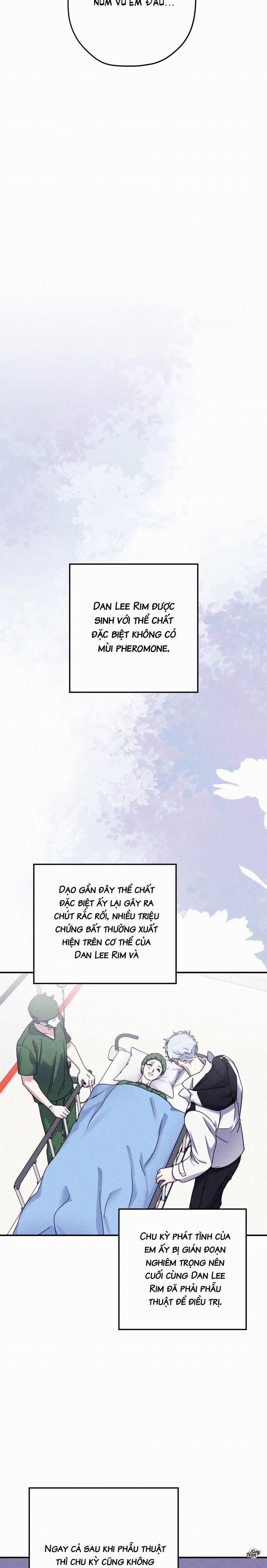 Con Sóng Dõi Theo Em 72 0 Ngoại Truyện Phần 2 0 8 trang 3