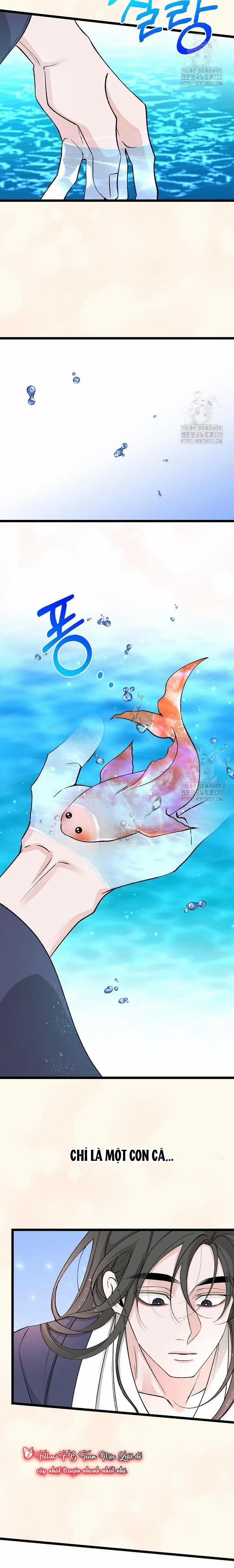 Cơn Sốt Tình 66 trang 17