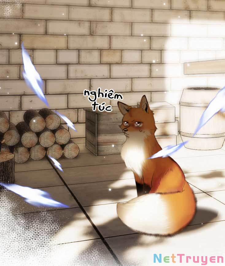 Con Tim Rung Động 3 22.5 trang 26