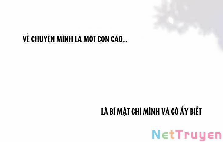 Con Tim Rung Động 3 22.5 trang 58