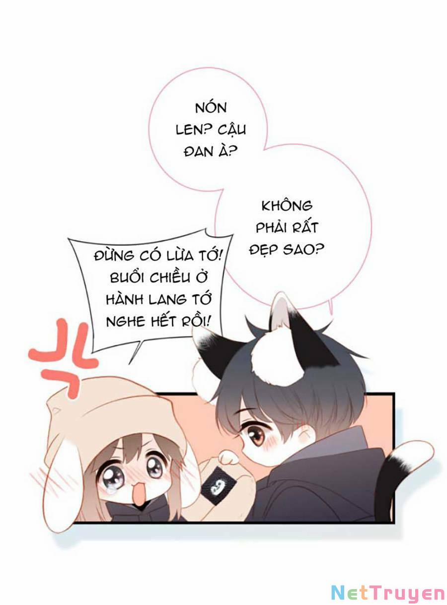 Con Tim Rung Động 3 26.5 trang 19