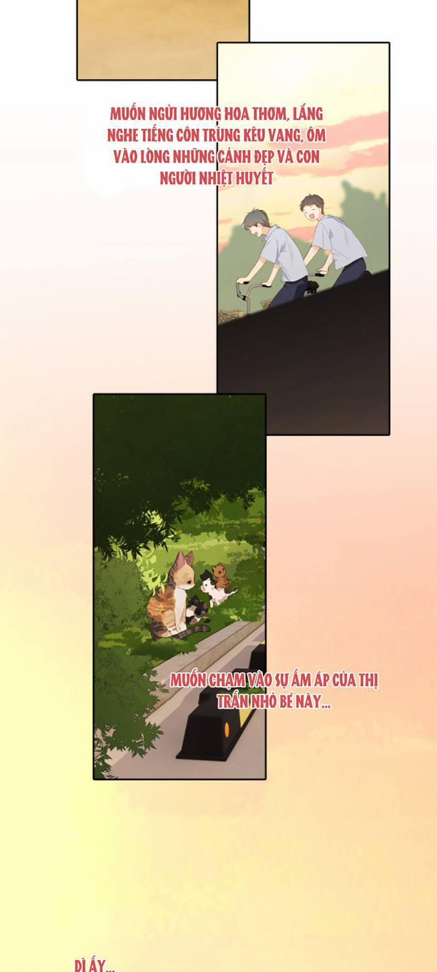 Con Tim Rung Động 3 34 trang 5