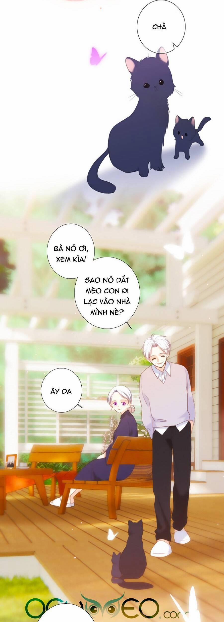 Con Tim Rung Động 3 37 trang 47