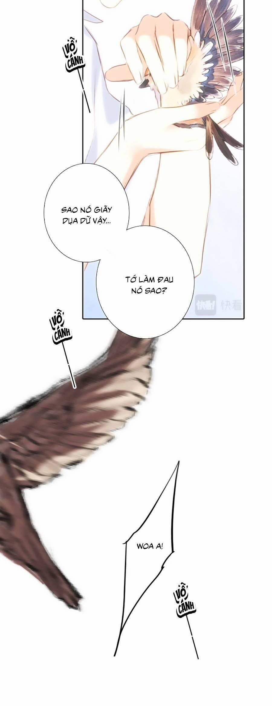 Con Tim Rung Động 3 39 trang 66