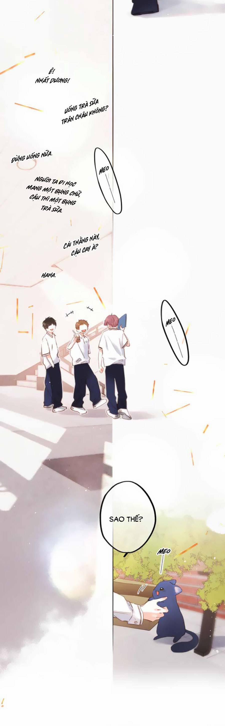 Con Tim Rung Động 3 41.8 trang 12