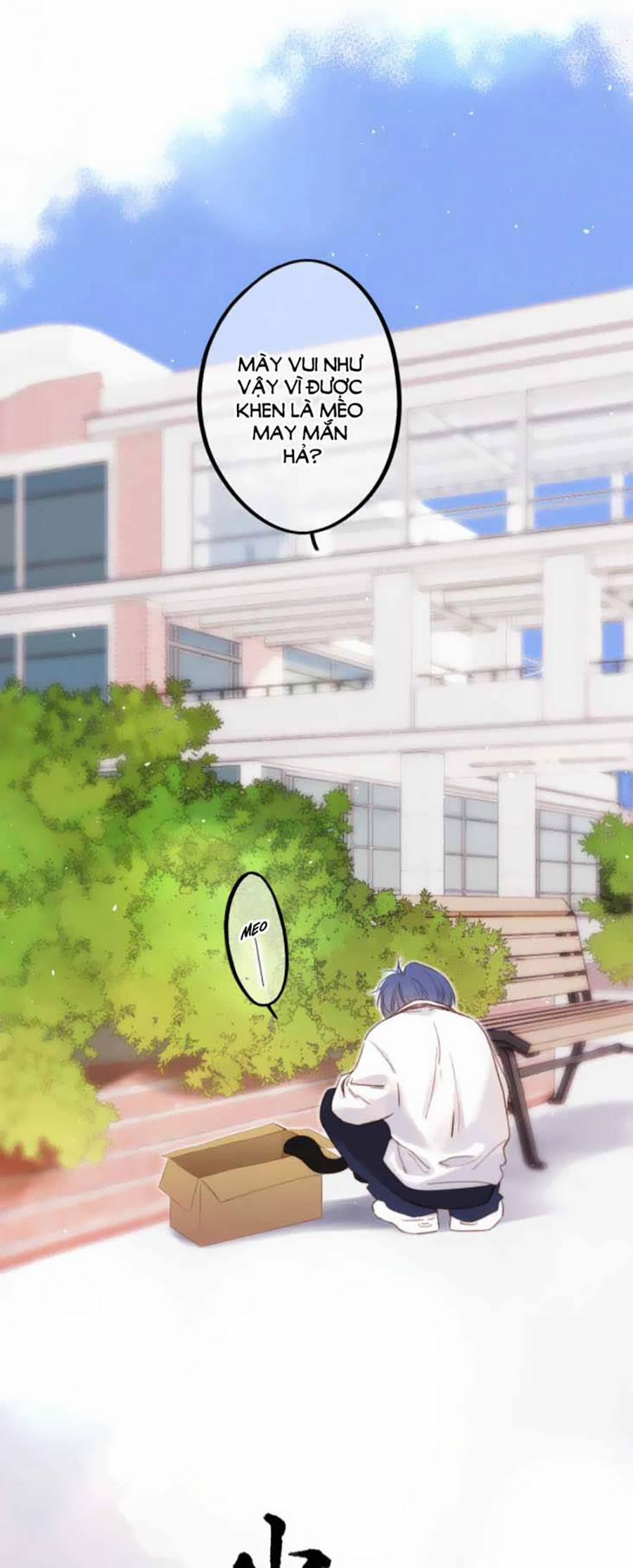 Con Tim Rung Động 3 41.8 trang 13