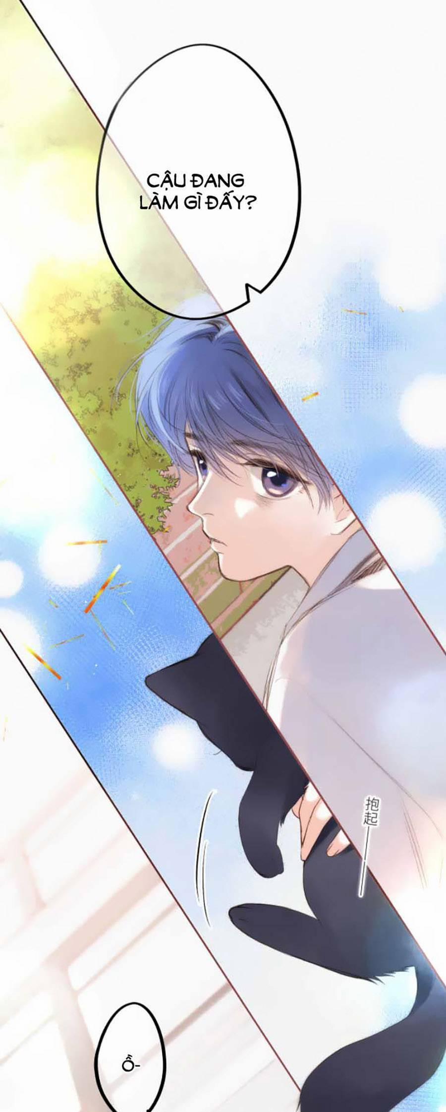 Con Tim Rung Động 3 41.8 trang 3