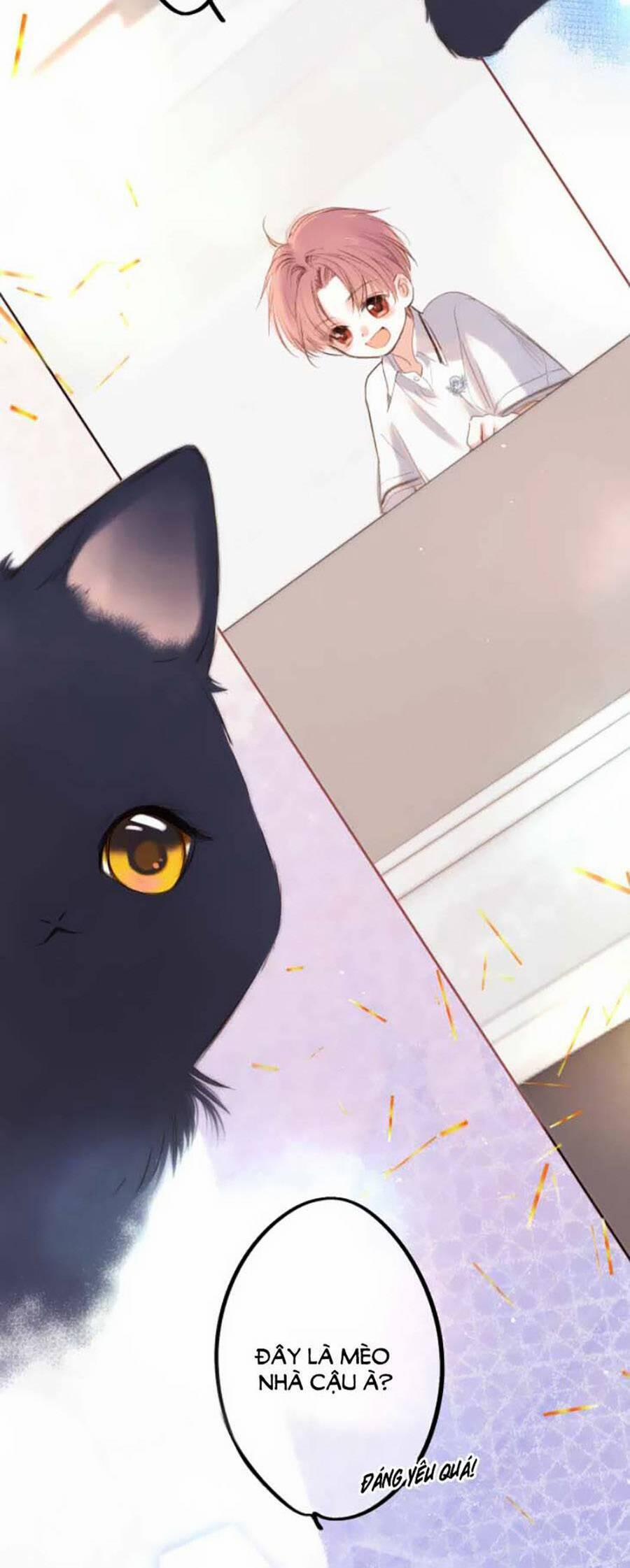 Con Tim Rung Động 3 41.8 trang 4