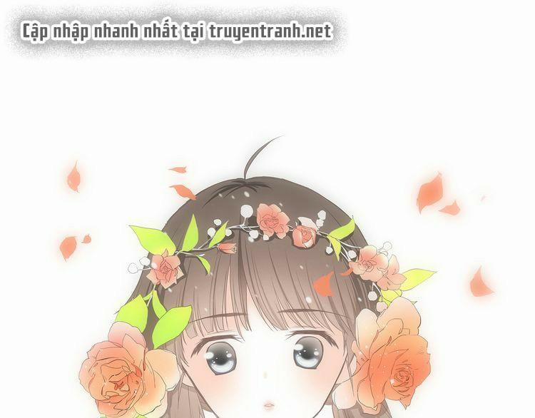 Con Tim Rung Động 11 trang 0