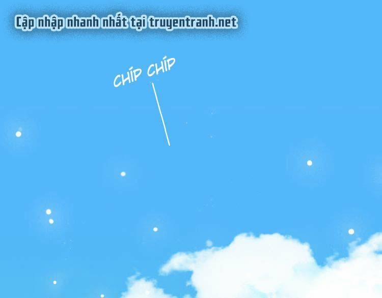 Con Tim Rung Động 13 trang 0