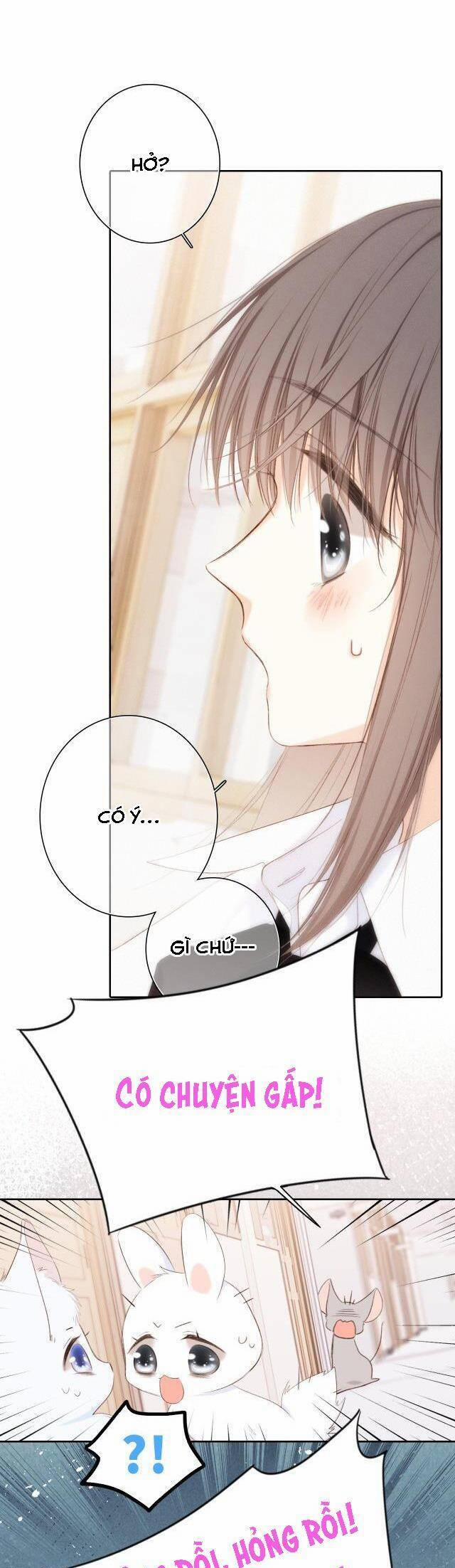 Con Tim Rung Động 167 trang 37