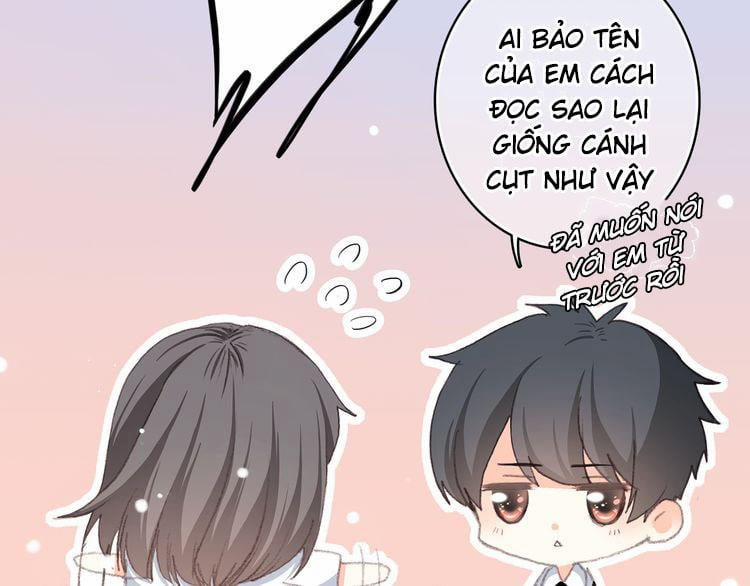 Con Tim Rung Động 17 trang 13