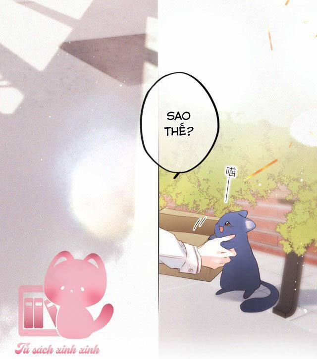 Con Tim Rung Động 181 trang 11