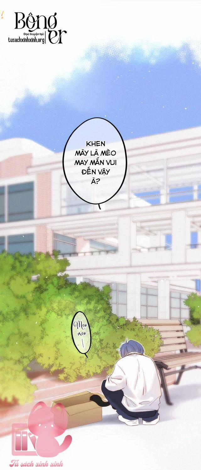 Con Tim Rung Động 181 trang 12