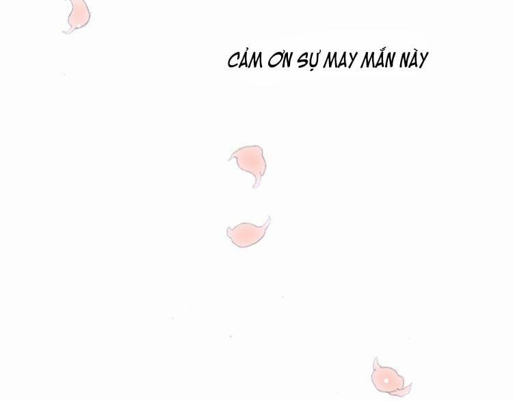 Con Tim Rung Động 7 trang 113