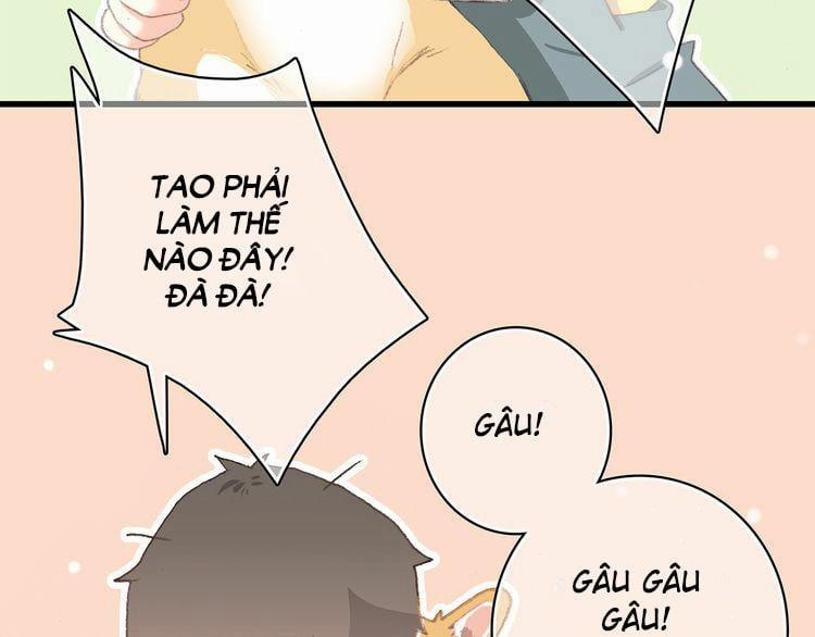 Con Tim Rung Động 9 trang 120