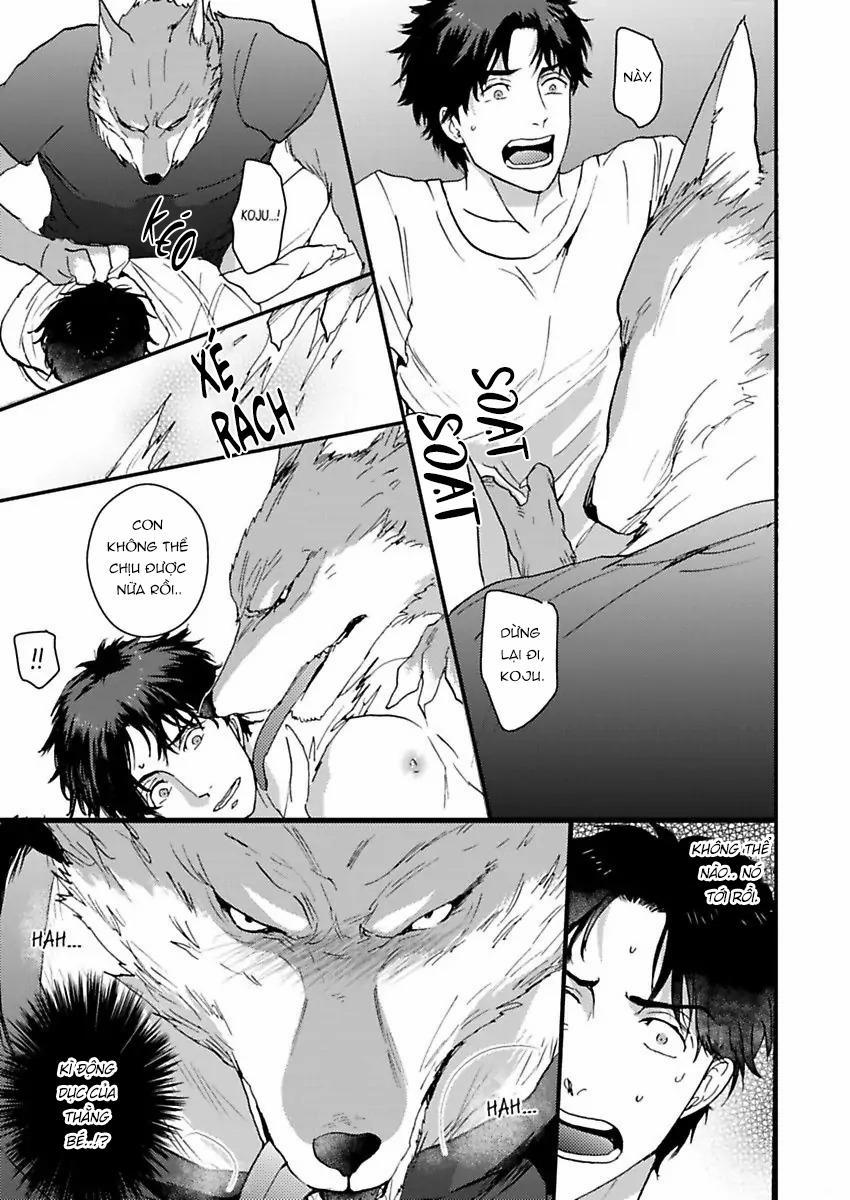 Con Trai Nuôi Của Tôi Đang Phát Tình 1 trang 10