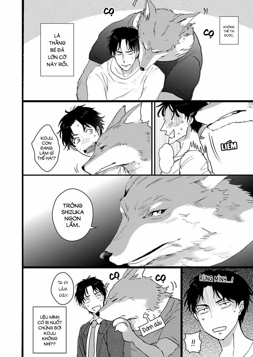 Con Trai Nuôi Của Tôi Đang Phát Tình 1 trang 7