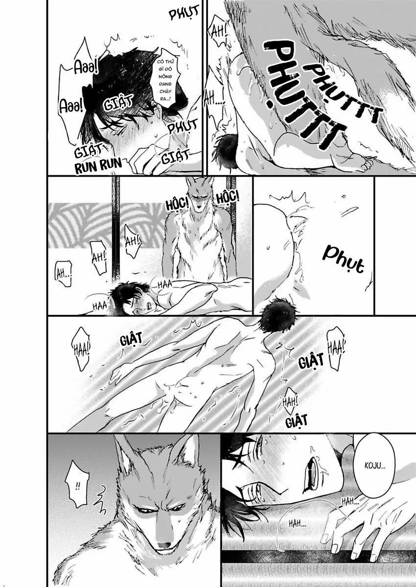 Con Trai Nuôi Của Tôi Đang Phát Tình 2 trang 11