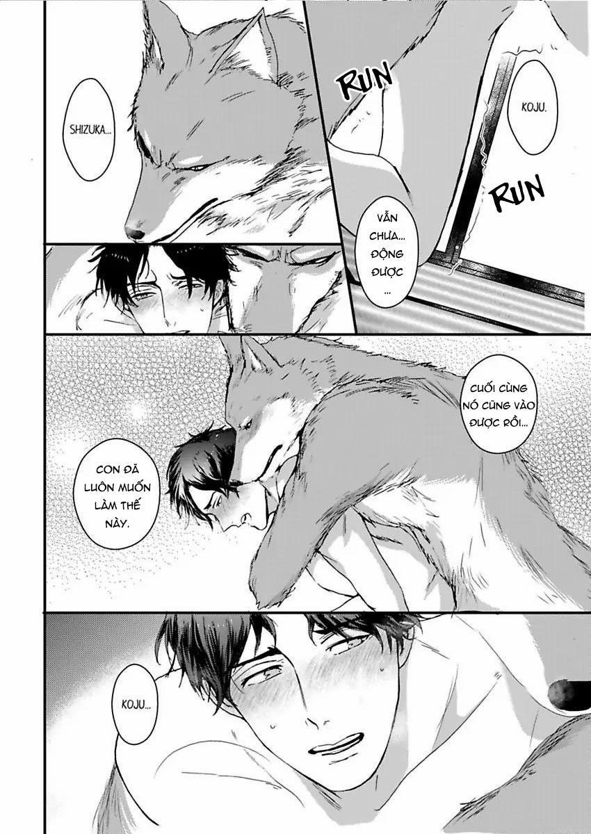 Con Trai Nuôi Của Tôi Đang Phát Tình 2 trang 3