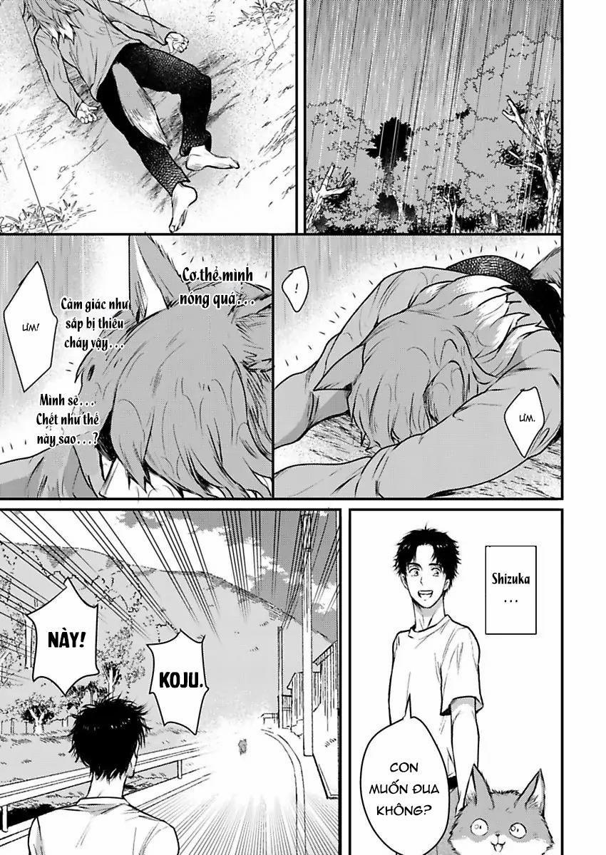 Con Trai Nuôi Của Tôi Đang Phát Tình 6 trang 2