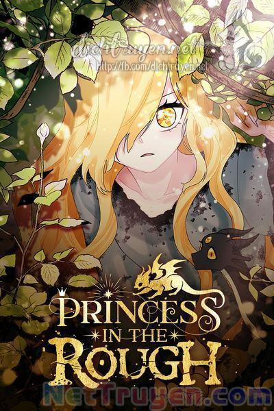 Công Chúa Bãi Rác 43 trang 0