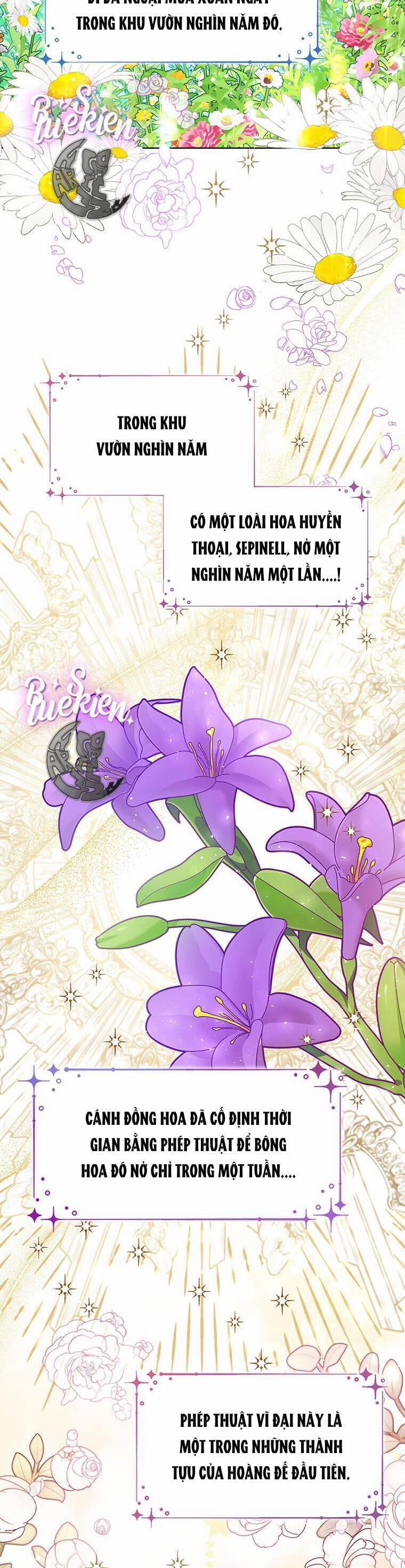 Công Chúa Bé Con Nhìn Vào Cửa Sổ Trạng Thái 33 trang 42