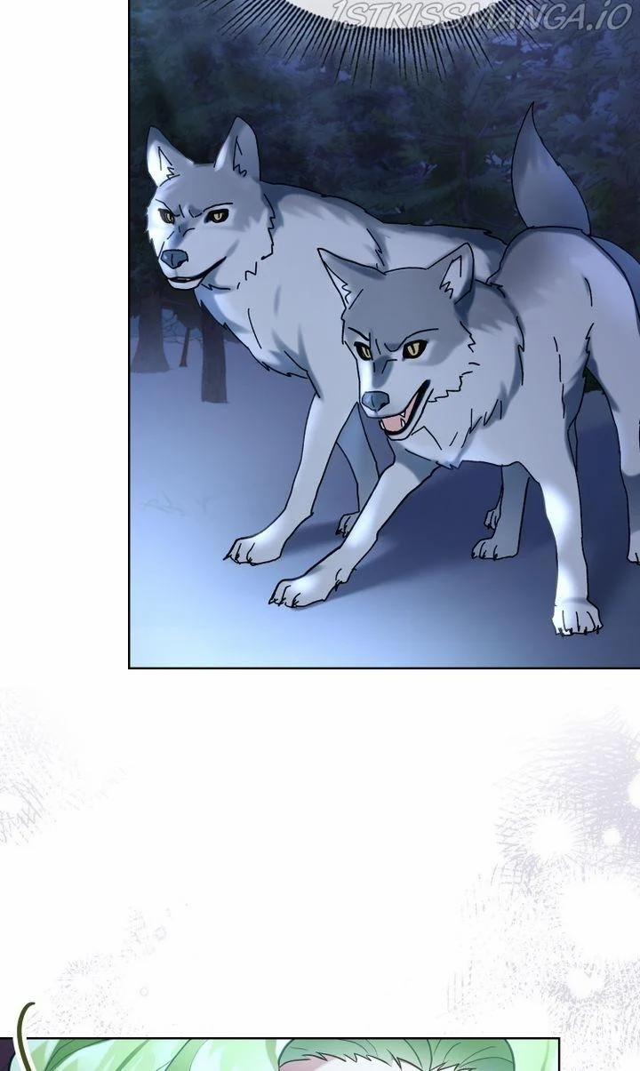 Công Chúa Của Các Loài Động Vật 5 trang 8