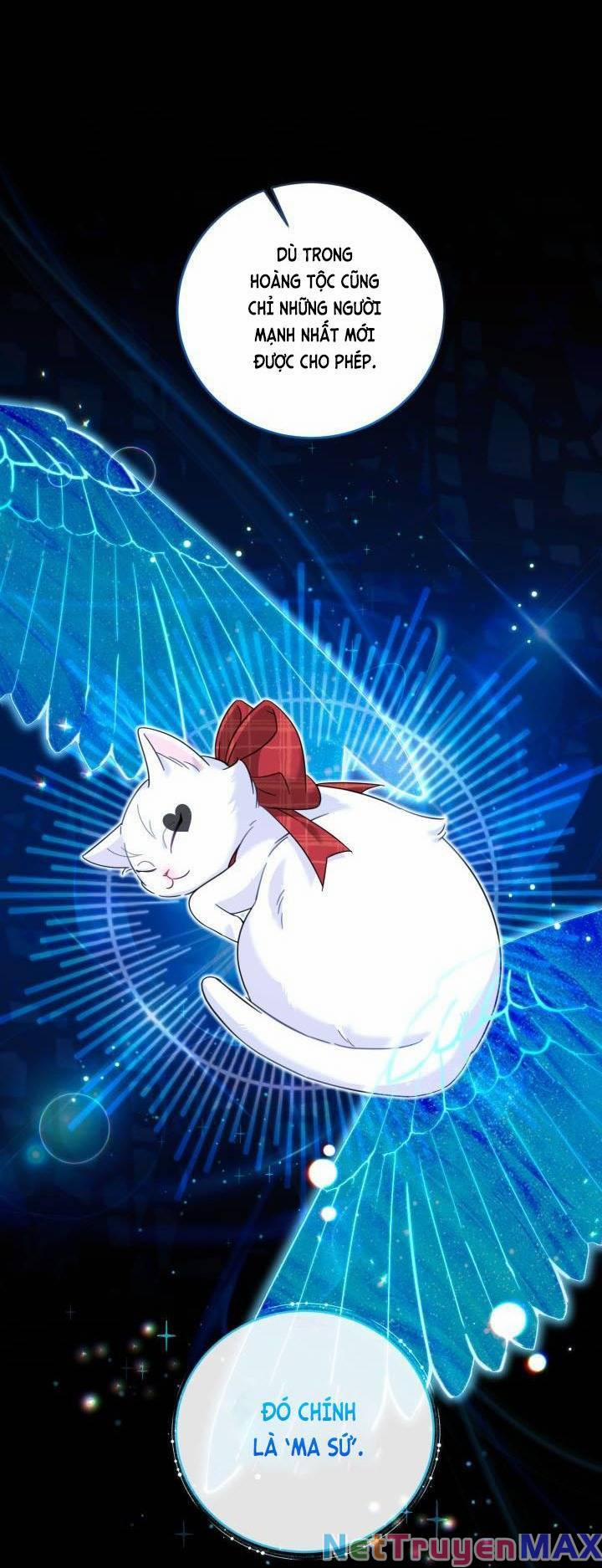 Công Chúa Dược Sĩ Bé Con 20 trang 11