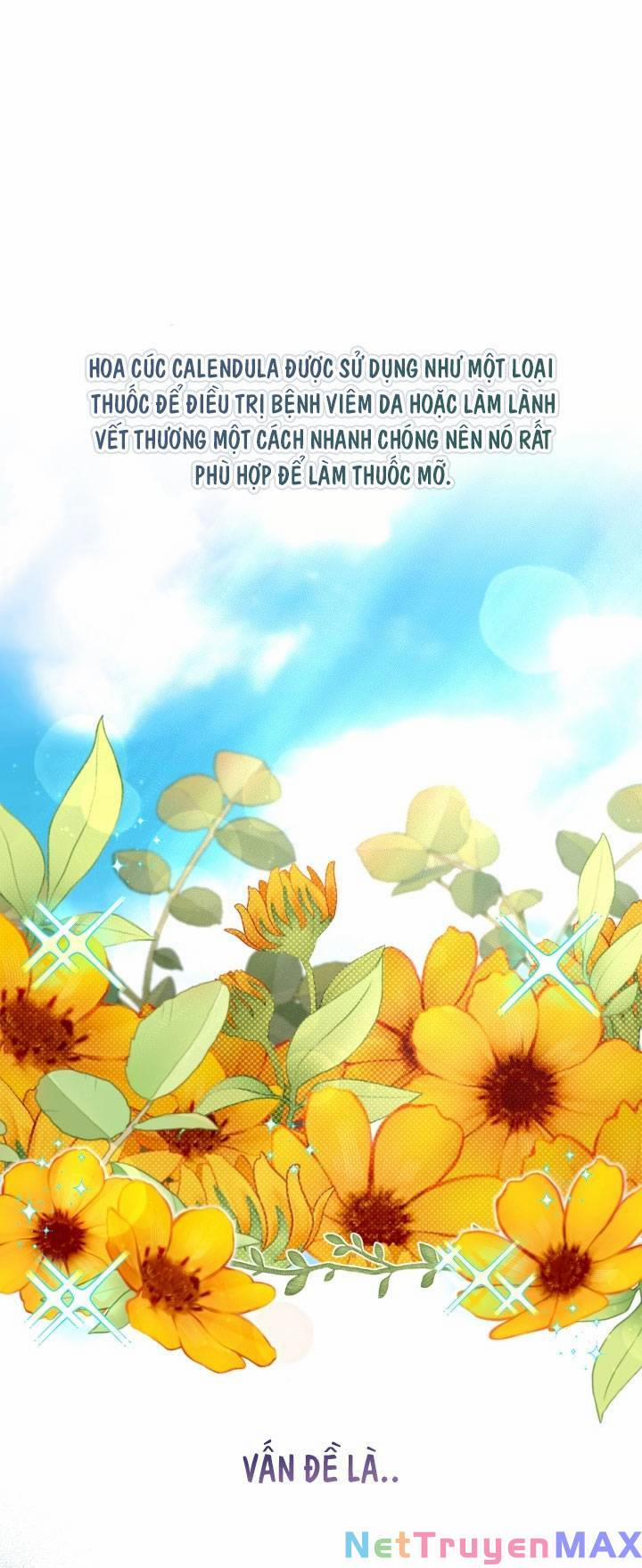 Công Chúa Dược Sĩ Bé Con 21 trang 38