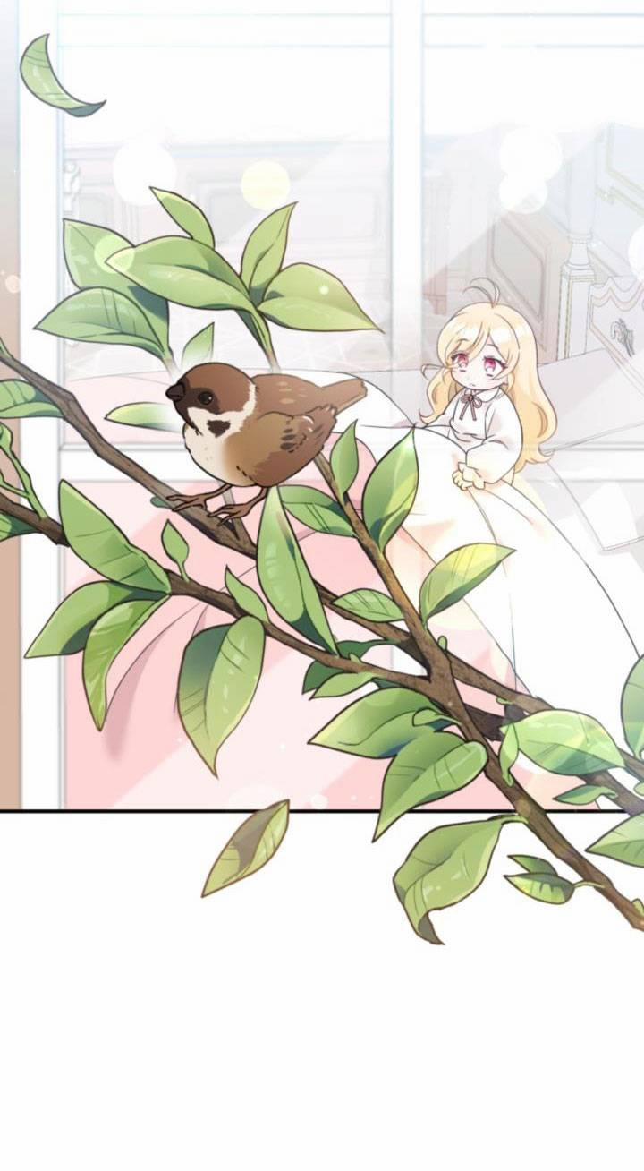 Công Chúa Dược Sĩ Bé Con 5 trang 7