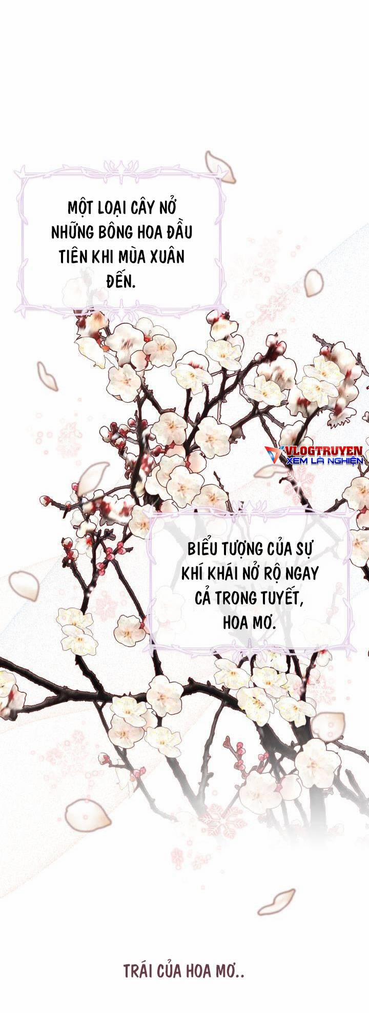 Công Chúa Dược Sĩ Bé Con 7 trang 27