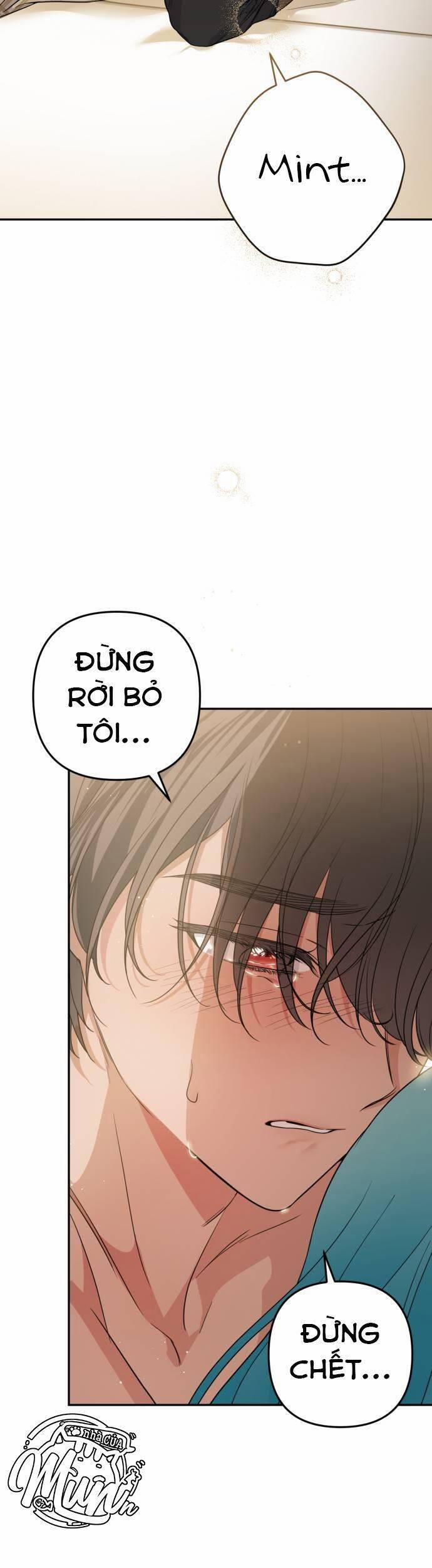 Công Chúa Mint Bé Nhỏ 36 trang 10