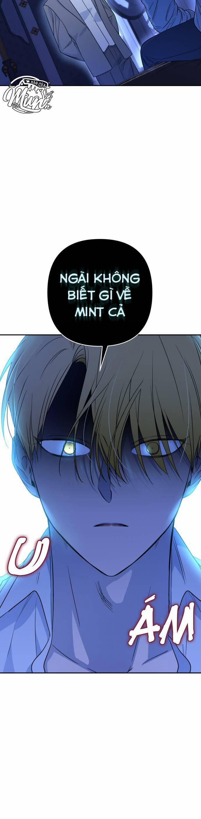 Công Chúa Mint Bé Nhỏ 38 trang 41