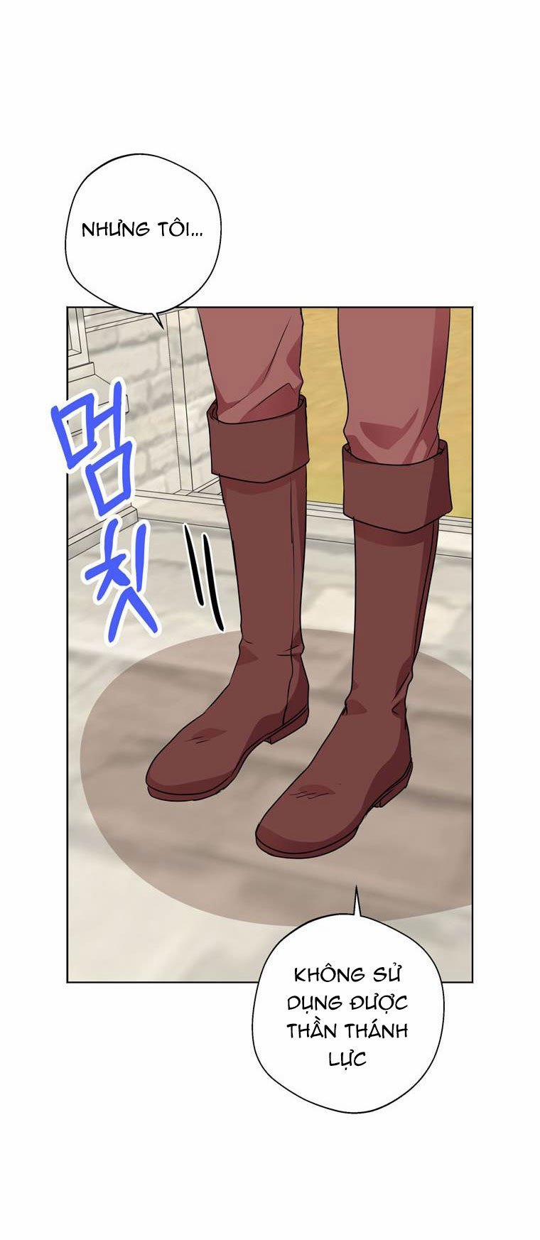 Công Chúa Ngoài Giá Thú 12 trang 11