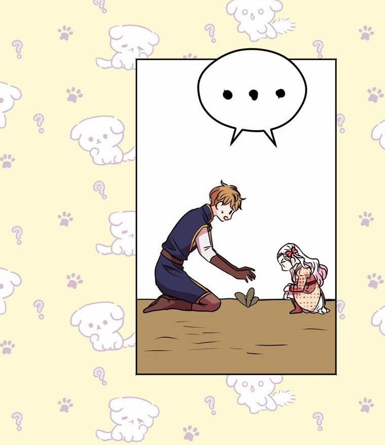 Công Chúa Ngoài Giá Thú 12 trang 47